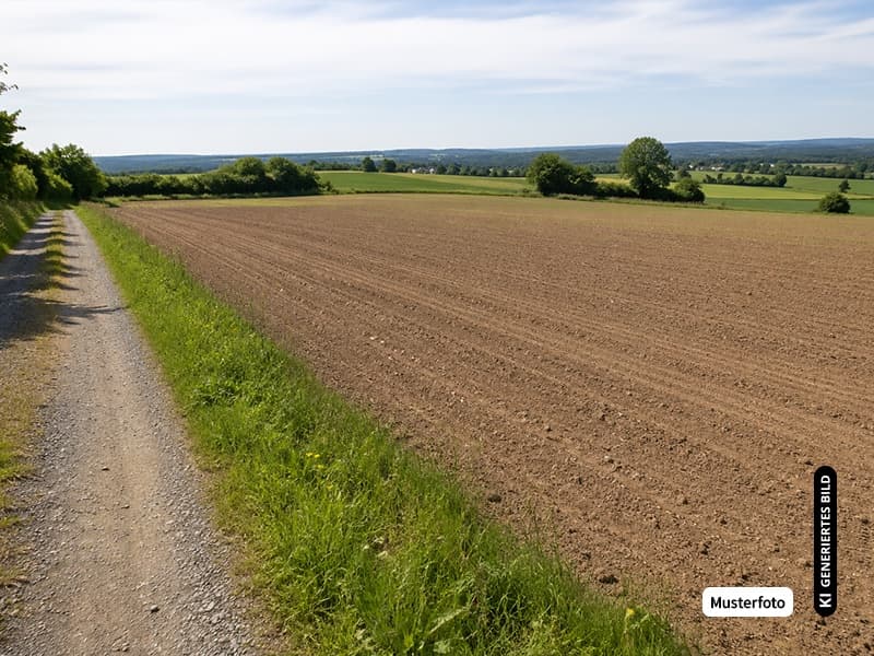 Land- und Forstgrundstück Günterod - Ihre Chance auf eine attraktive Immobilie ohne Provision