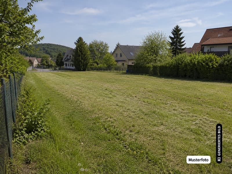 Waldfläche - Ihre besondere Immobilienchance ohne Maklerprovision