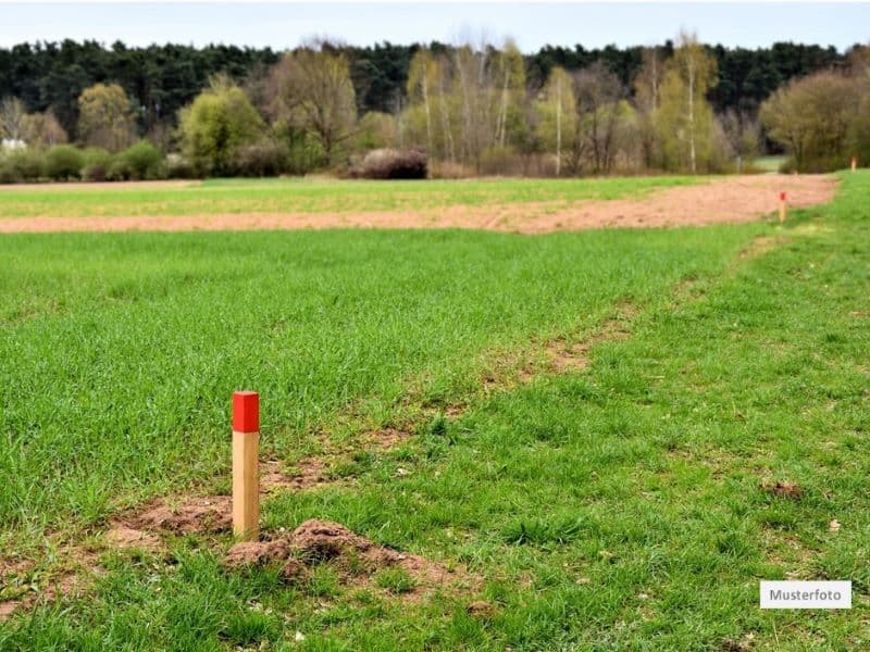Waldfläche, Sulzbach-Rosenberg - Provisionsfrei zur Wunschimmobilie