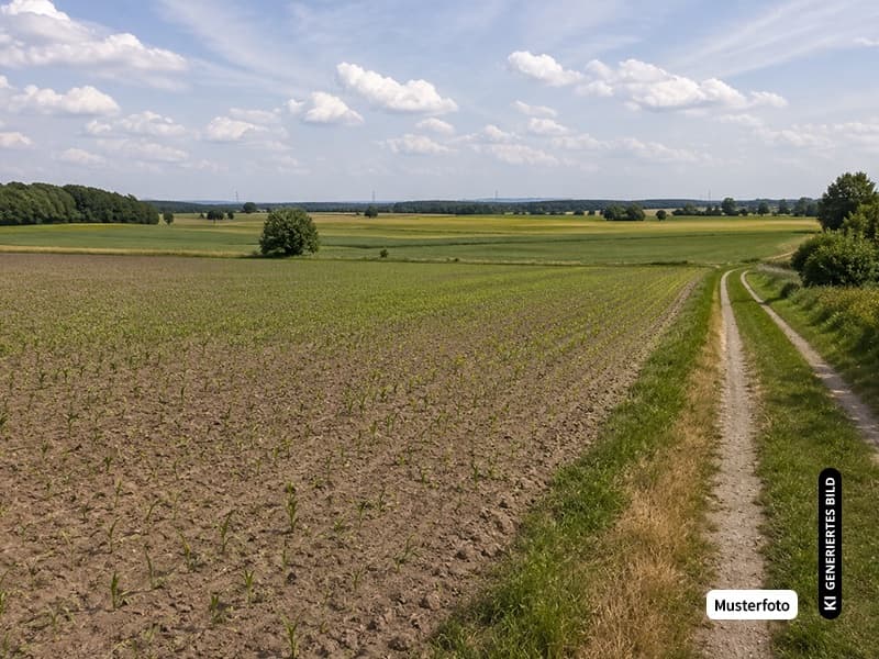 land- und forstwirtschaftlich genutztes Grundstück, Gemarkung Dieberg, Am Fuchsenweiher Flst. 397,, 00000 Gemarkung Reichenbach Beim Fuchsenschübel Flst. 669 - Ihre Immobilie ohne Maklerprovision!