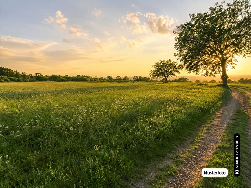Landwirtschaftsfläche - Ihre Chance auf eine besondere Gelegenheit ohne Provision