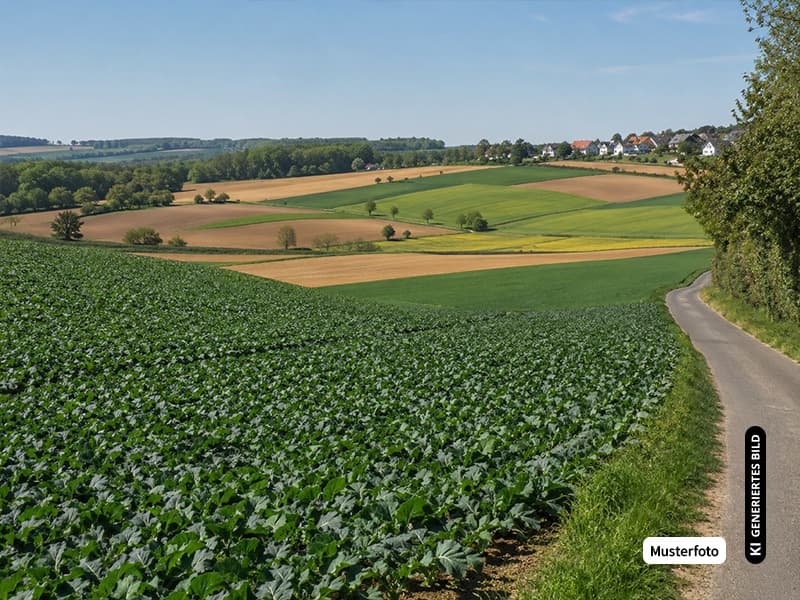 Land- und Forstfläche Rösberg - Attraktive Gelegenheit für Immobilienkäufer ohne Provision