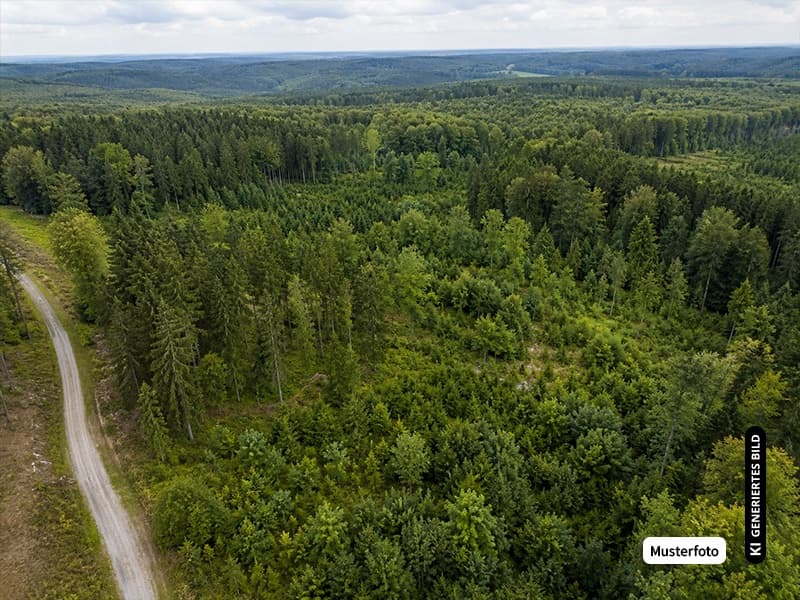Land- und Forstgrundstück in Dorsel - Besondere Immobilienchance ohne Provision