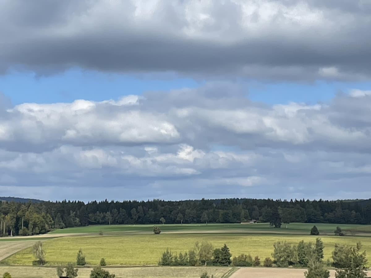 Einmalige Gelegenheit - große Ackerfläche mit guten Zufahrtsmöglichkeiten