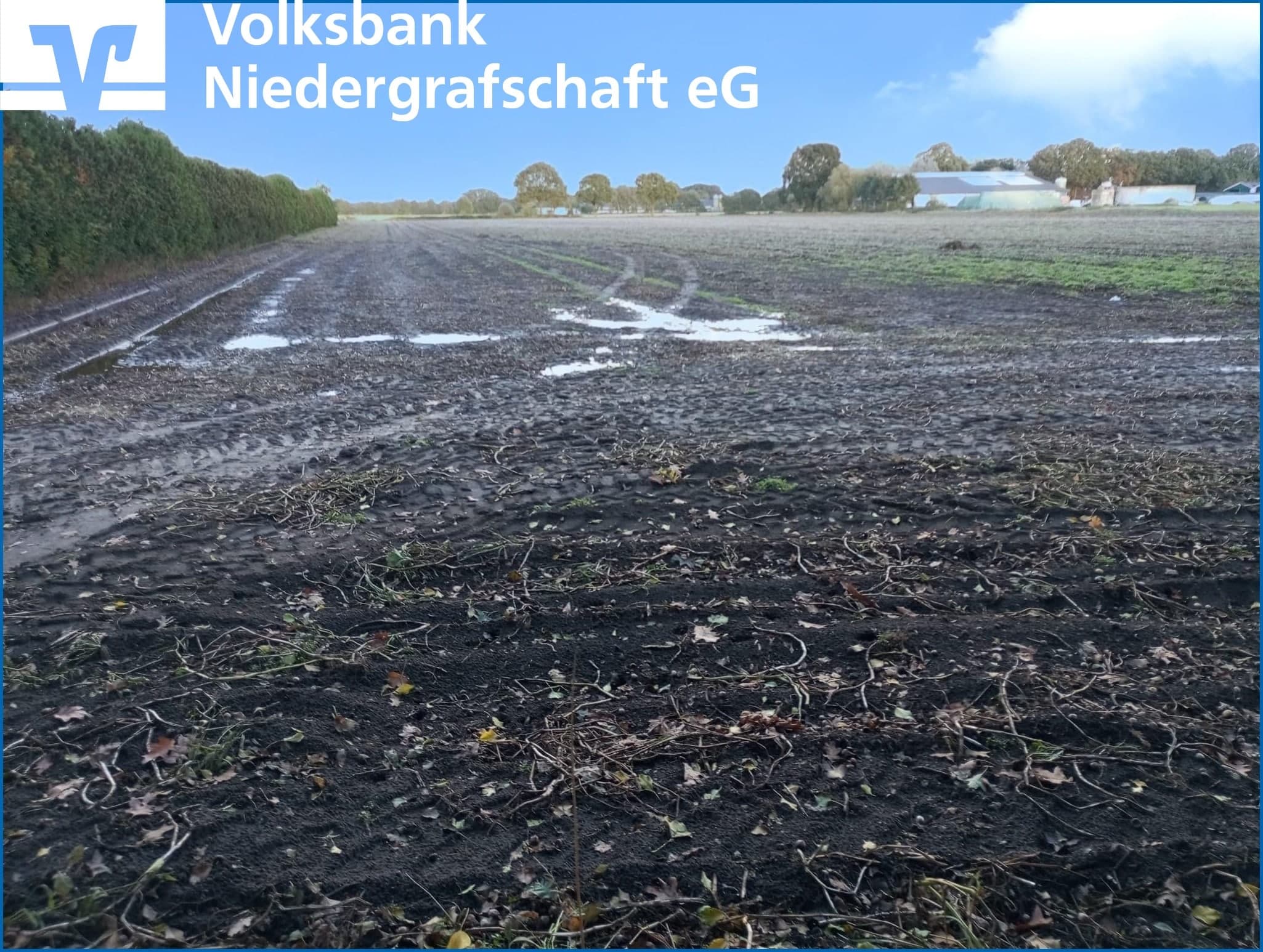 Landwirtschaftliche Nutzfläche (Ackerland) in Itterbeck zu verpachten