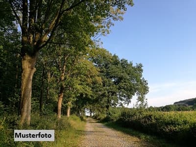 Land- und Forstwirtschaftsfläche mit baufälliger Gartenhütte aus Holz