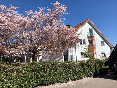 RUHIGES INVESTMENT-JUWEL AM EUROPA-PARK