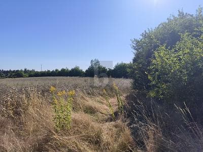 VERMÖGENSANLAGE MIT ENTWICKLUNGSPOTENZIAL