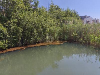 EIGENER ZUGANG ZUM SEE, MIT WERTSTEIGERUNG