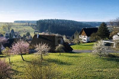 IHR ZUHAUSE ZWISCHEN APFELBÄUMEN