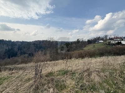WOHNEN IM GRÜNEN MIT AUSSICHT