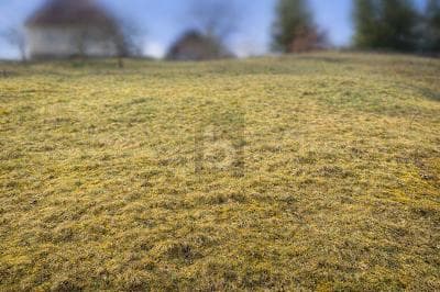 NATURNAH BAUEN IN BAIERSBRONN