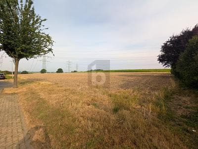 RUHELAGE MIT 2.200 QM & FREIER GESTALTUNG