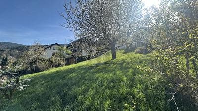 IDYLLE IN NATUR UND STADT