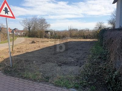KAISERSTÜHLER IDYLLE TRIFFT FREIBURGER STADTNÄHE