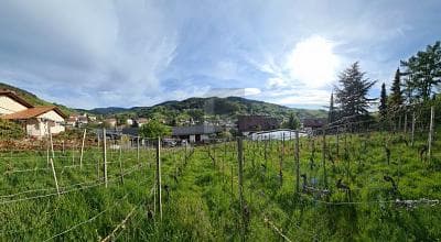 AUSSICHT & LEBENSQUALITÄT