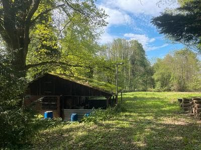 IHR GANZ PRIVATES STÜCK NATUR