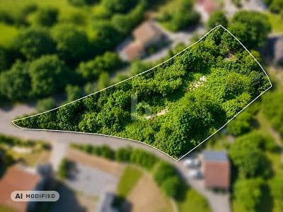 TRAUMSTÜCK IN DER FRÄNKISCHEN LANDSCHAFT