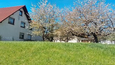 STADTNAH U. PRIVAT WOHNEN MIT RENDITEPOTENTIAL