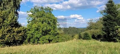 EXKLUSIVER PLATZ IN ATTRAKTIVEM WOHNORT