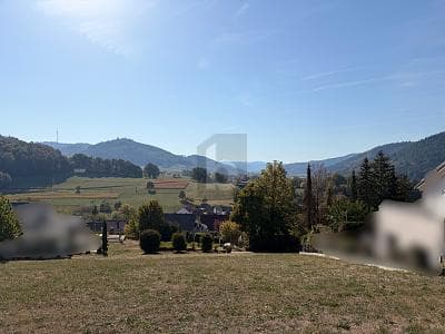 FERNBLICK BAUEN IN LAHR-REICHENBACH