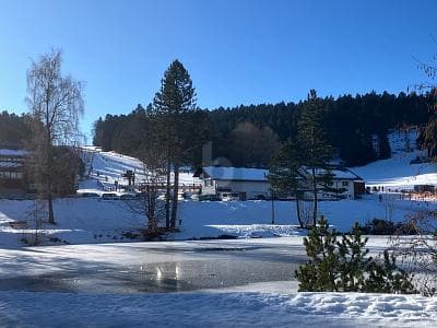 SEEBLICK, MÖBLIERT & FERIENTAUGLICH