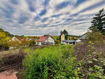 AUF EINER ANHÖHE MIT WALDBLICK