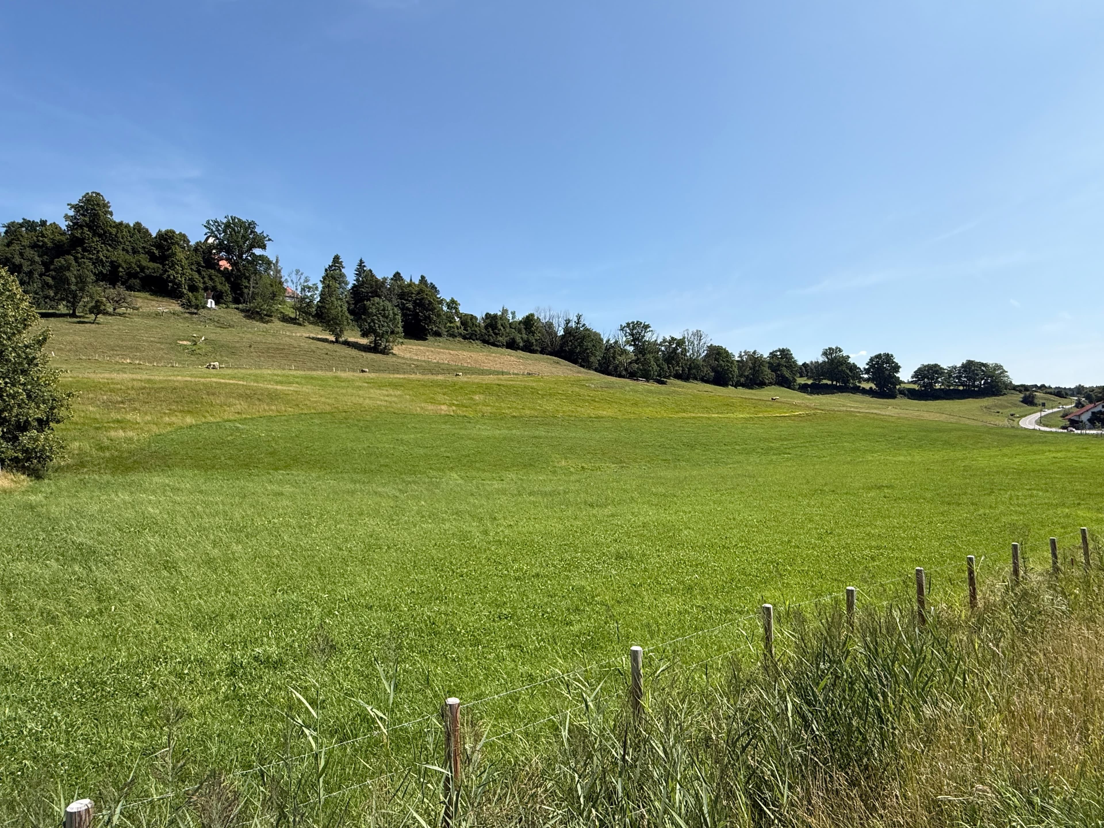 Wiesengrundstück in der Nähe von Eglofs-Argenbühl