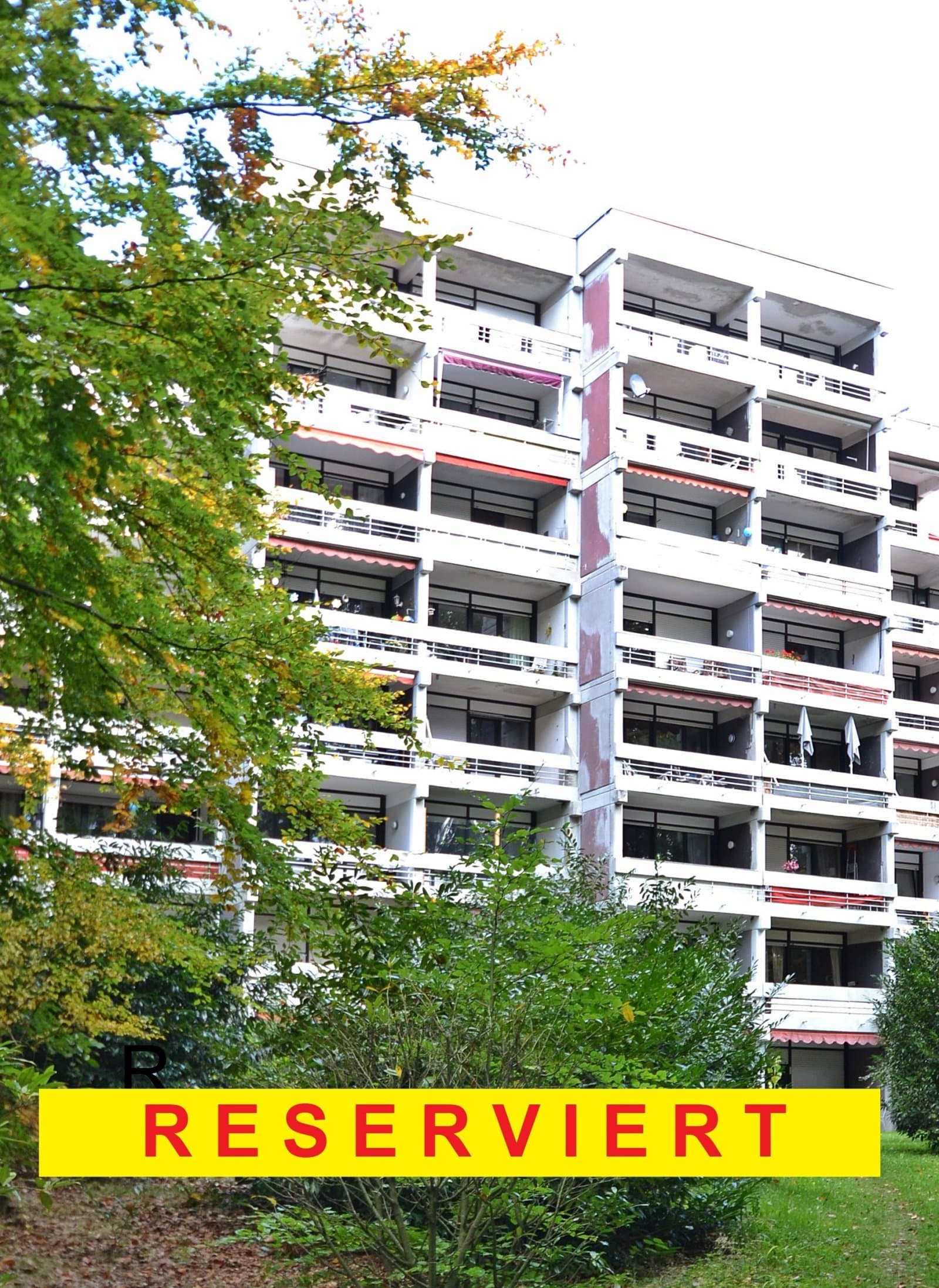 Teilsanierte Eigentums-Penthousewohnung Nähe Neuwied am Rhein in schöner, ruhiger Waldrandlage