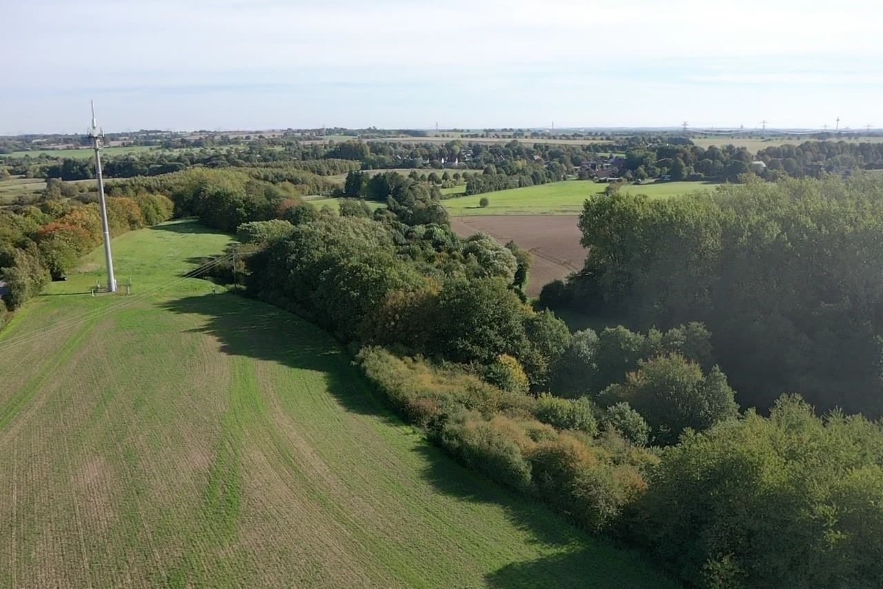 Waldgrundstück vor Curau