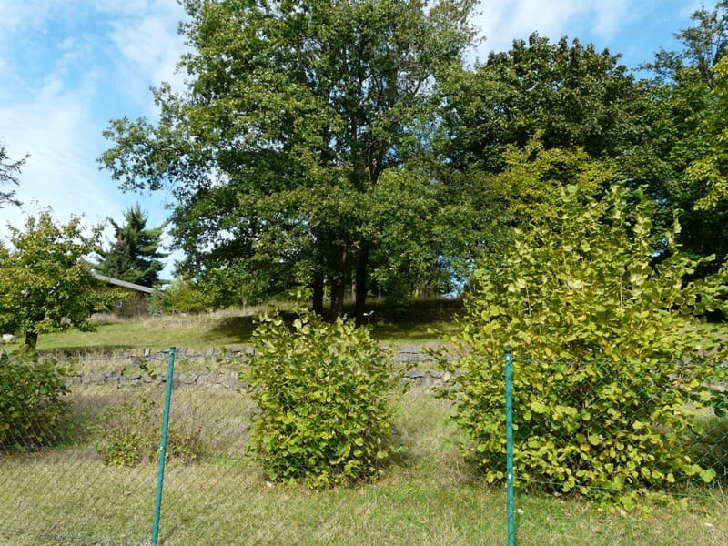 Bahren Loreley - Großes Grundstück mit 2 Stück WE - Häuser - B Plan ist in arbeit (noch nicht fertig / rechtskräftig)