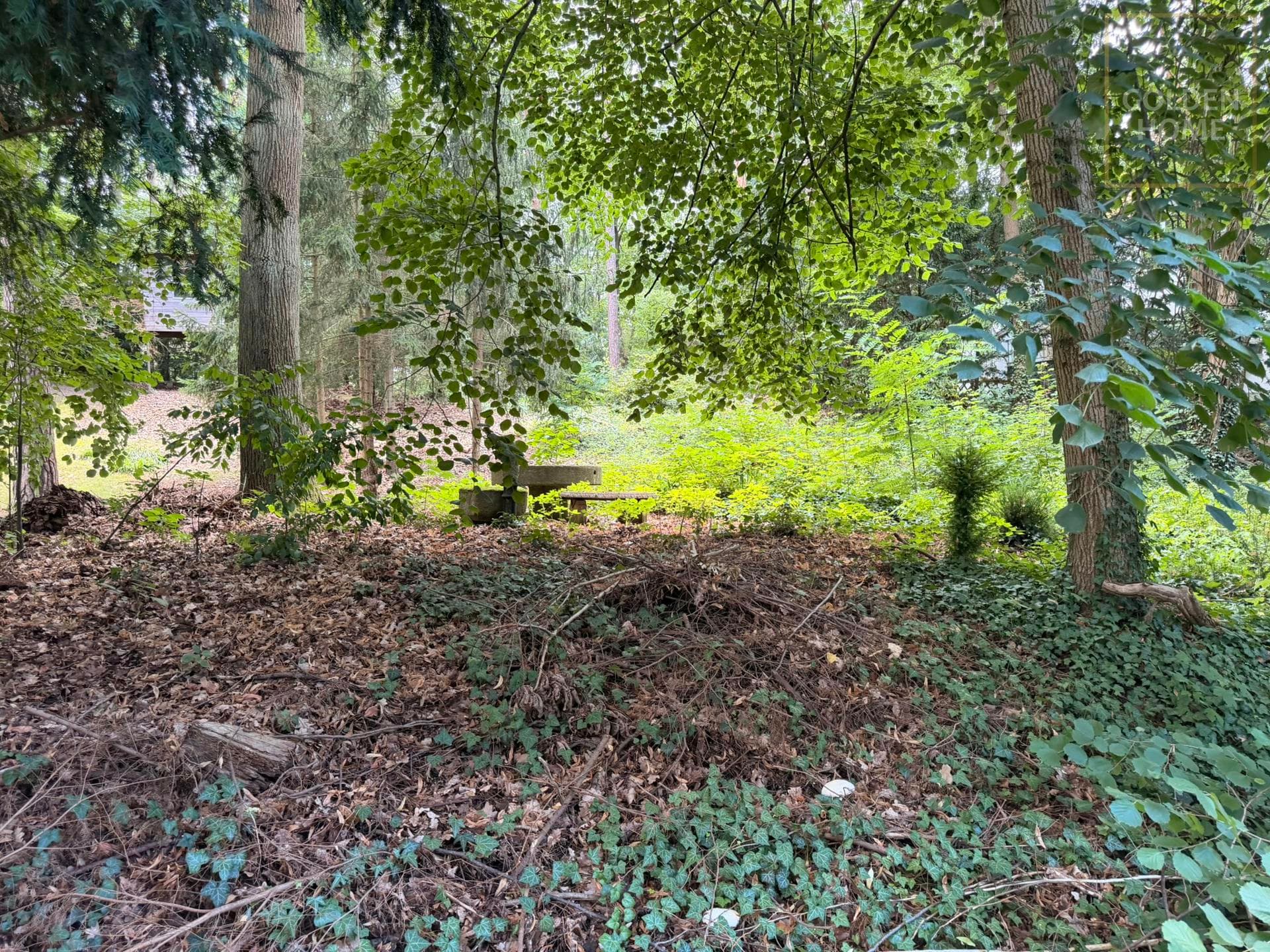 850 m² Baugrundstück mit Bebauungsplan – voll erschlossen und bereit für Ihre Wohnideen
