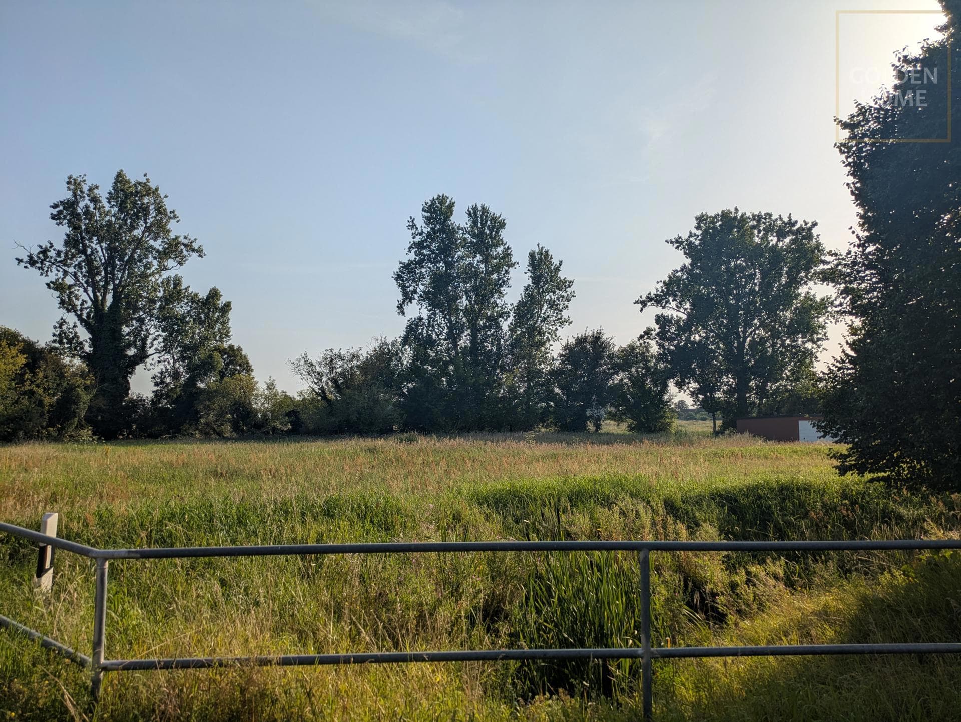 Großzügiges Baugrundstück in Buschow – über 2.000 m² für Ihre Wohnträume