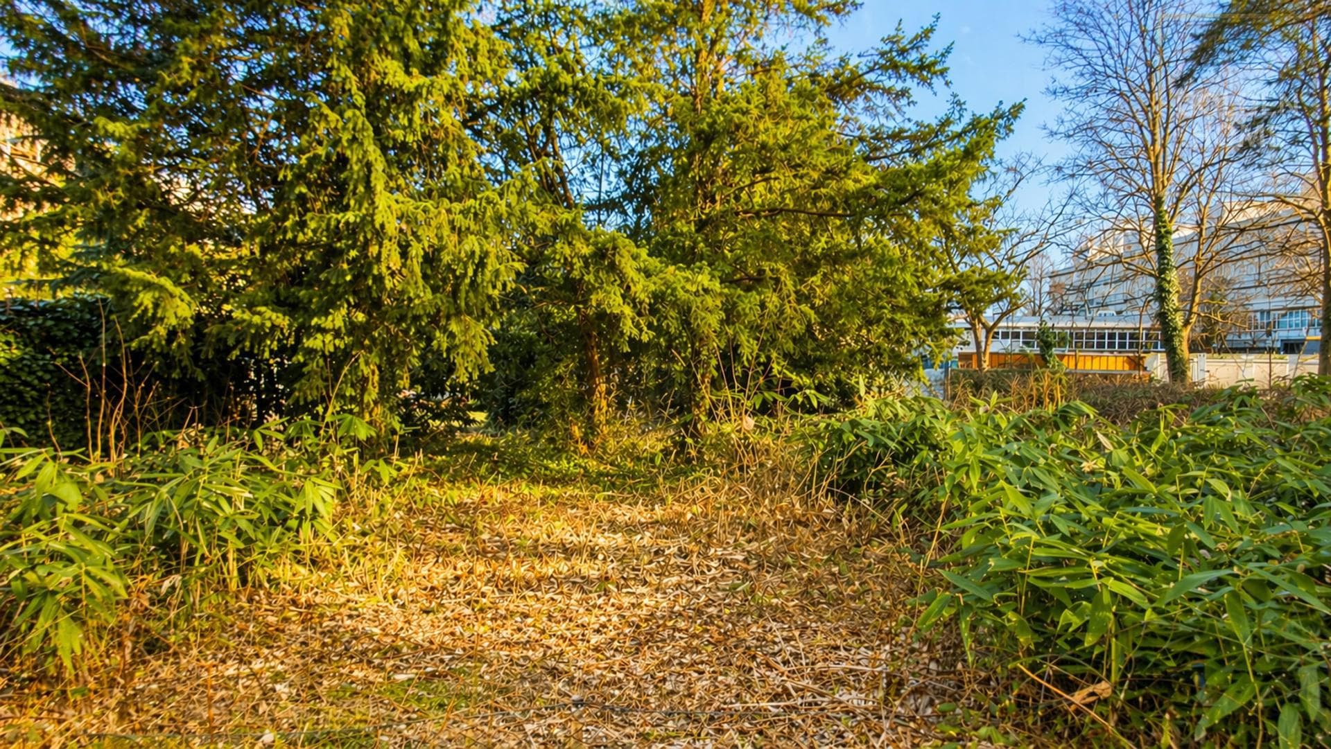 Zentral, großzügig mit Bauvorbescheid für bis zu 4 Wohneinheiten