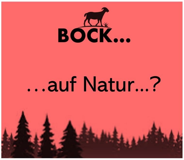 Individuell geplantes Einfamilienhaus im Hochschwarzwald mit Panoramablick