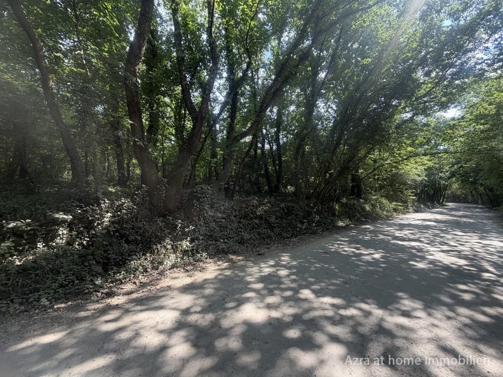 VABRIGA, an der Hauptstraße Porec – Tar, Waldgrundstück, 5666 m²
