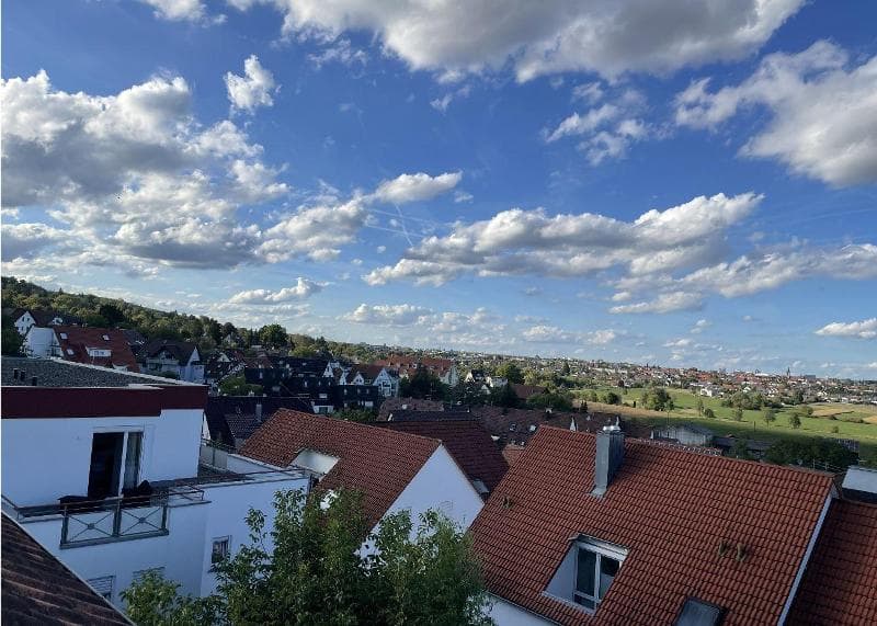 Swabian Alb & Airport View - Maisonette!