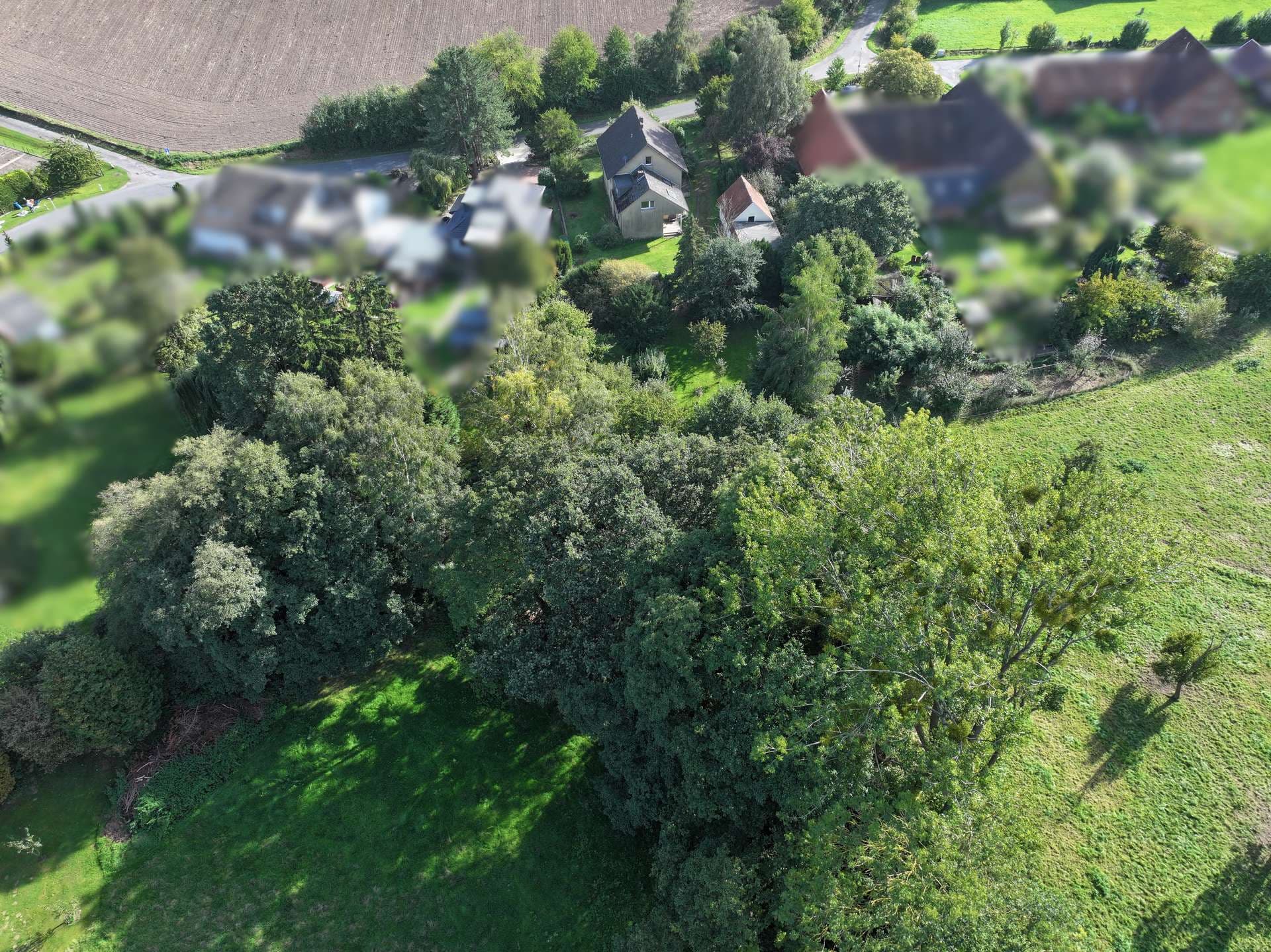 Zweifamilienhaus mit großem Naturgrundstück.