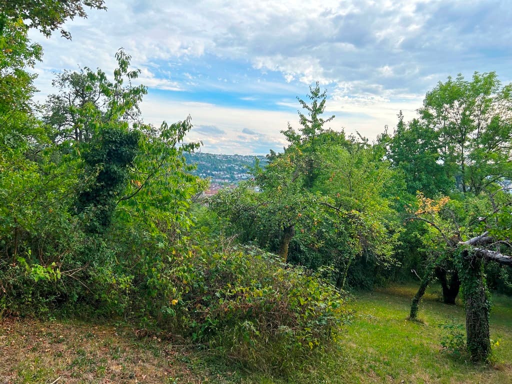 Gartengrundstück in Toplage von Esslingen - Wittumweinberge oberhalb der Burg