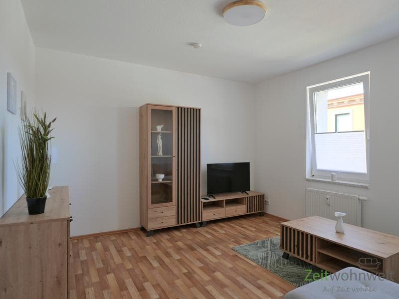 (EF1424_M) Halle: Trotha, neu möblierte 2-Zimmer-Wohnung, Garten am Haus, Waschmaschine vorhanden
