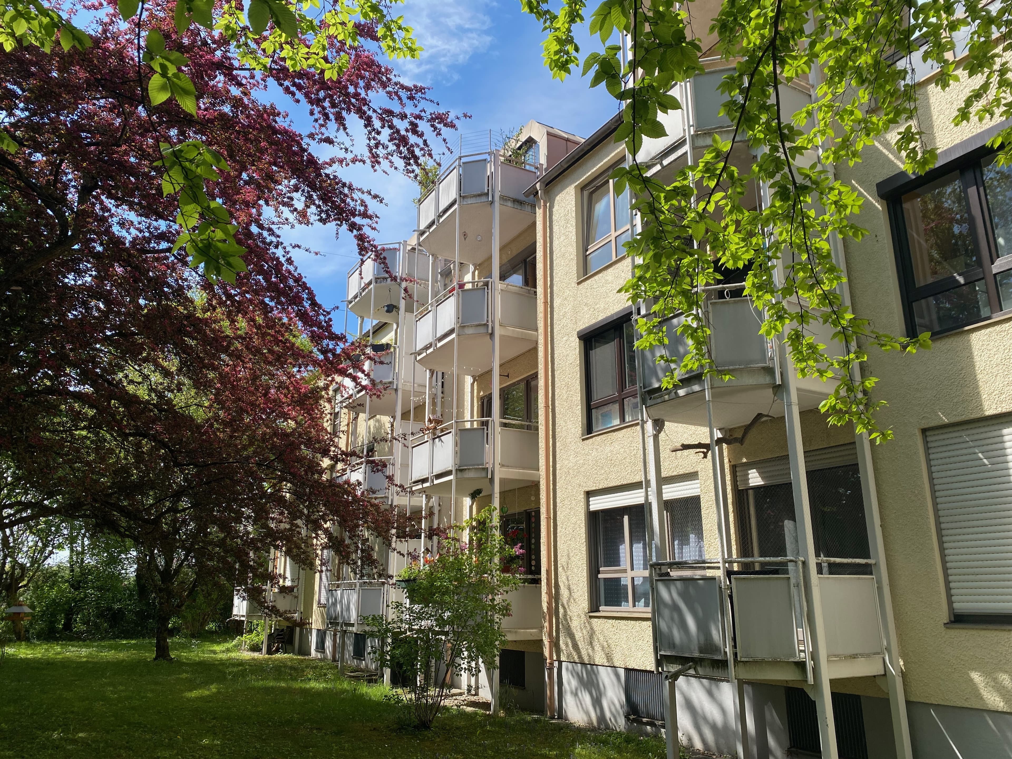 München-Johanneskirchen: 2-Zi-Whg, hell, freundlich und ruhig- Bes. Mittw. 23.09.n. Vereinbarung.