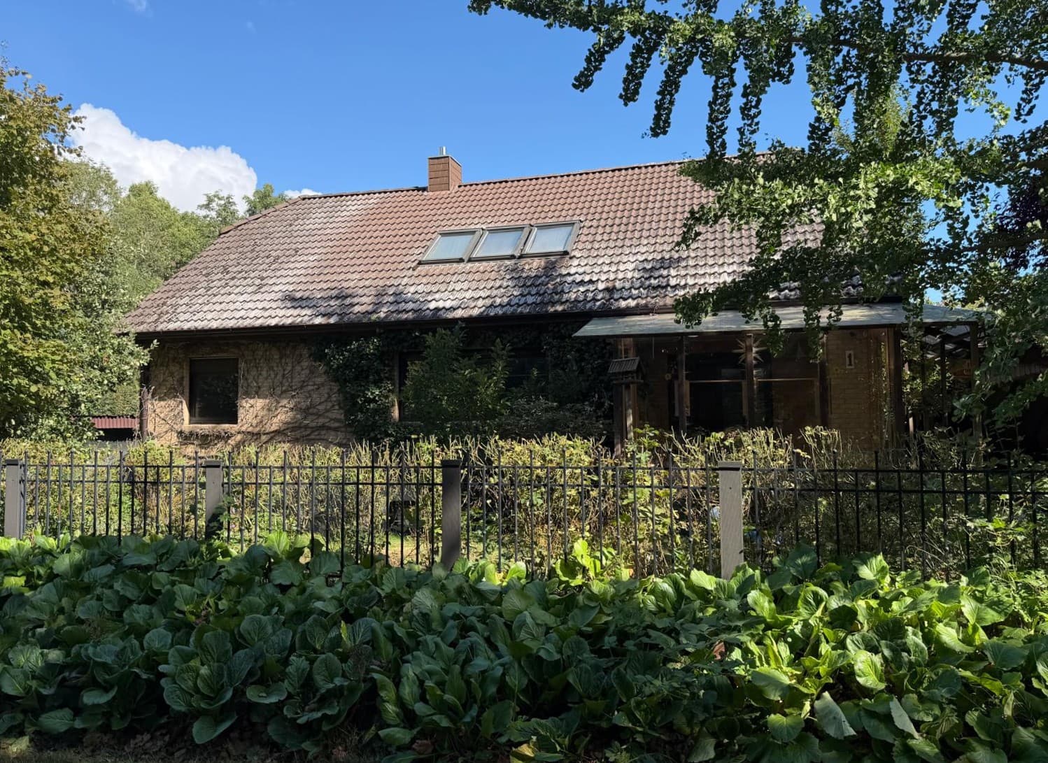 BÖRS - Immobilien ++ Einfamilienhaus mit Seeblick & großem Grundstück in Arendsee