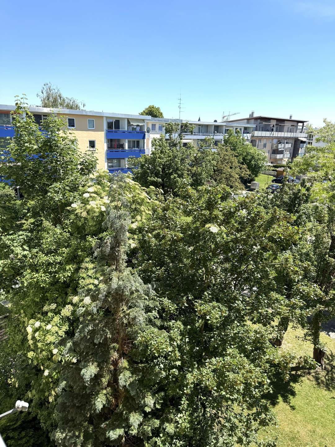 Ein Zuhause zum Verlieben-Sonnige 3 Zimmer Wohnung in zentraler Lage mit Soforteinzug