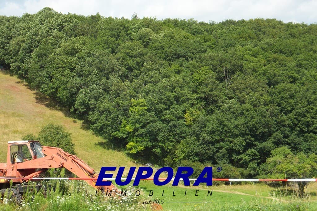 EUPORA® Immobilien: Waldgrundstück in Bennhausen.