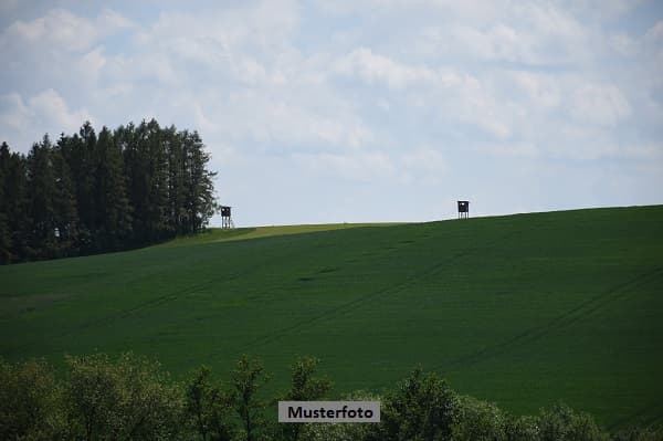 Unbebaute Grundstücke