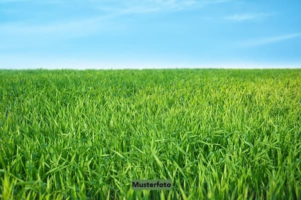 Div. Landwirtschaftsflächen - provisionsfrei