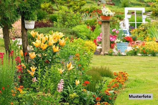 Gartenlaube mit Garage