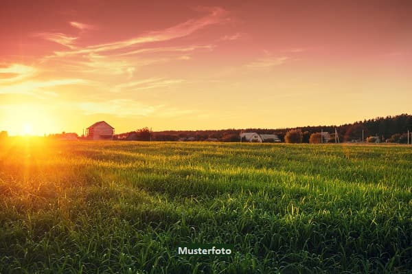 Land-/Forstwirtschaftsfläche