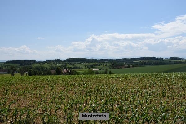 Wiesengrundstück