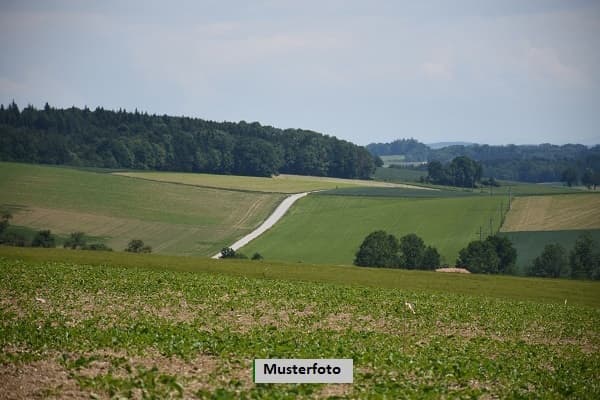 Land- und Forstwirtschaftsflächen